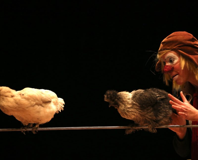 L’envol de la fourmi