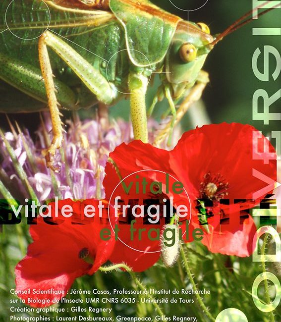 Exposition Biodiversité, vitale et fragile