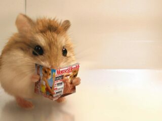 Max et Emmy : Mission Pâques