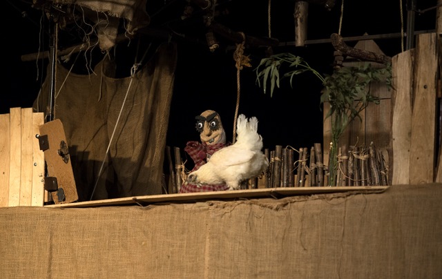 Des poules et des hommes