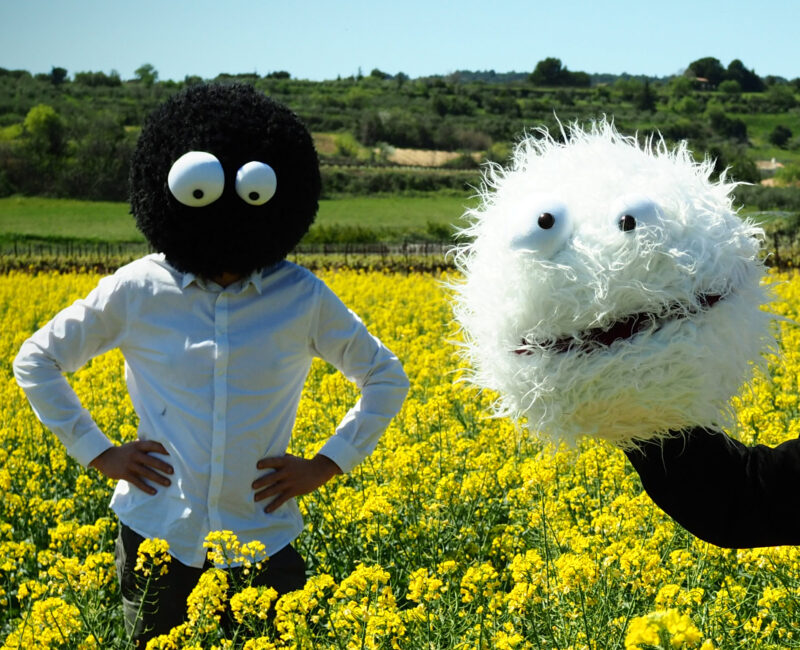 Muppets Rapsody