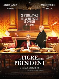 Affiche du film Le Tigre et le Président
