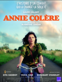 Affiche du film Annie colère