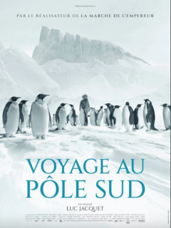 Affiche du film Voyage au pôle sud