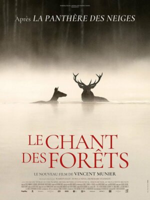 Le chant des forêts