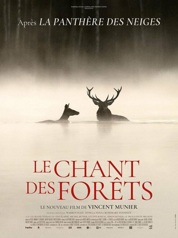 Affiche Le chant des forêts