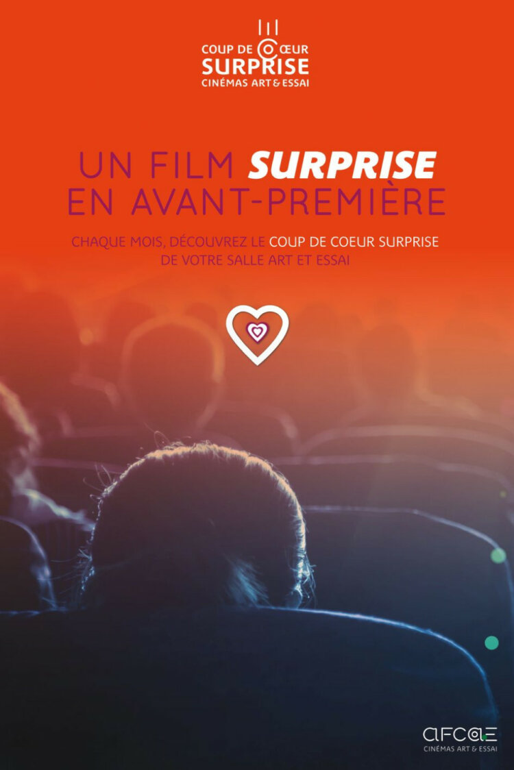 Affiche 2025 11 COUP DE COEUR SURPRISE AFCAE 3