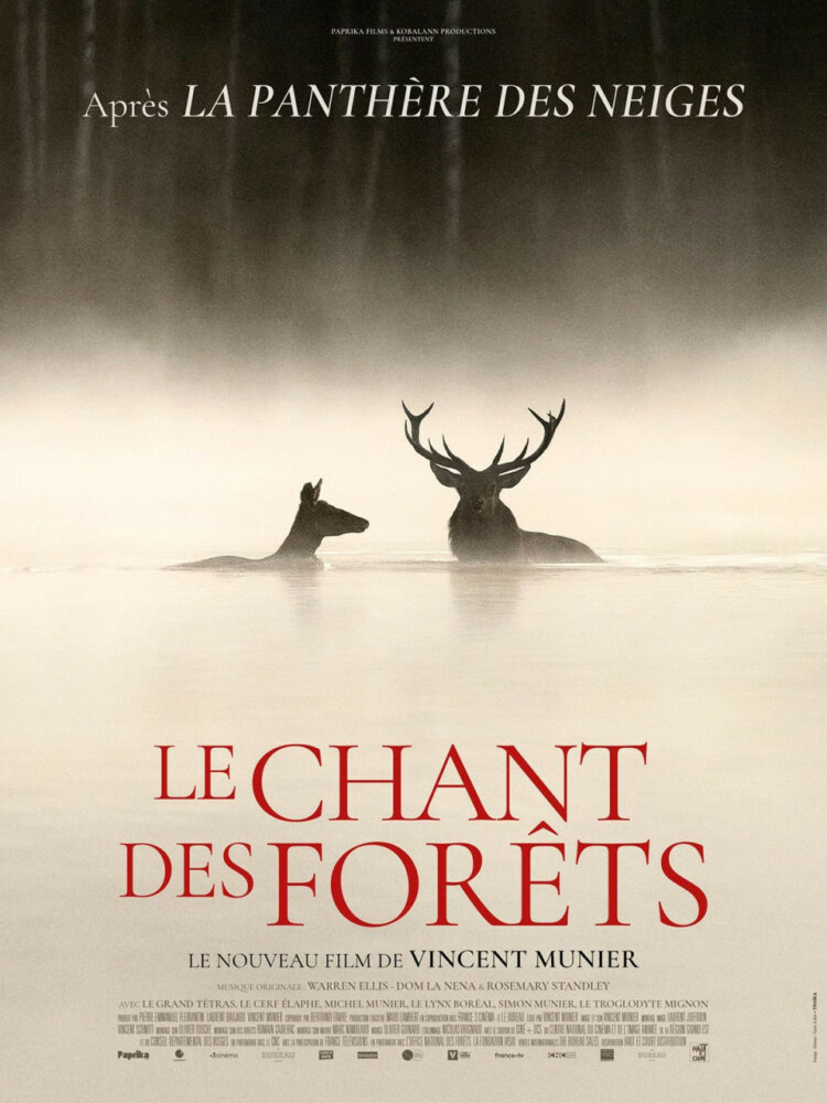 Affiche Le Chant des forêts