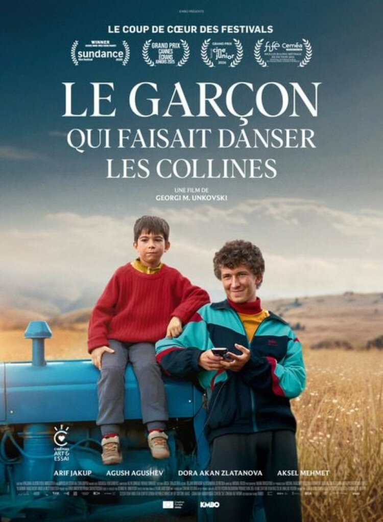 Affiche Le garçon qui faisait danser les collines