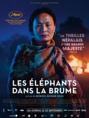 LES ELEPHANTS DANS LA BRUME